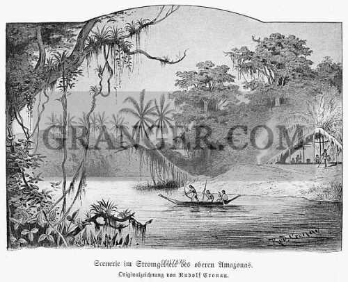 Image Of Amazon Jungle 12 A Scene On The Upper Amazon Drawing German 12 From Granger Historical Picture Archive Image Of Amazon Jungle 12 A Scene On The Upper Amazon Drawing German 12 From Granger Historical Picture Archive